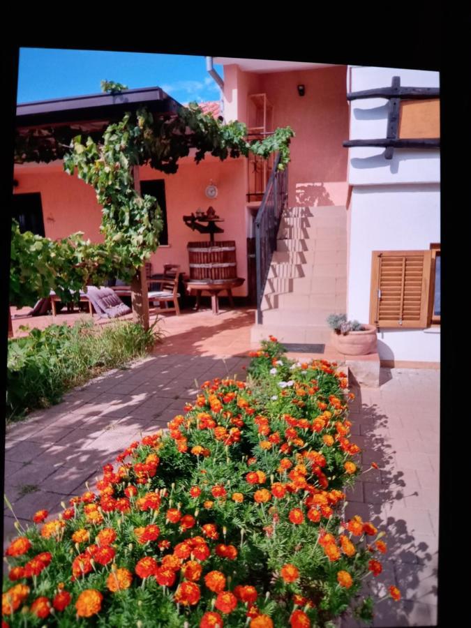 Apartment Garden Monsena Rovinj