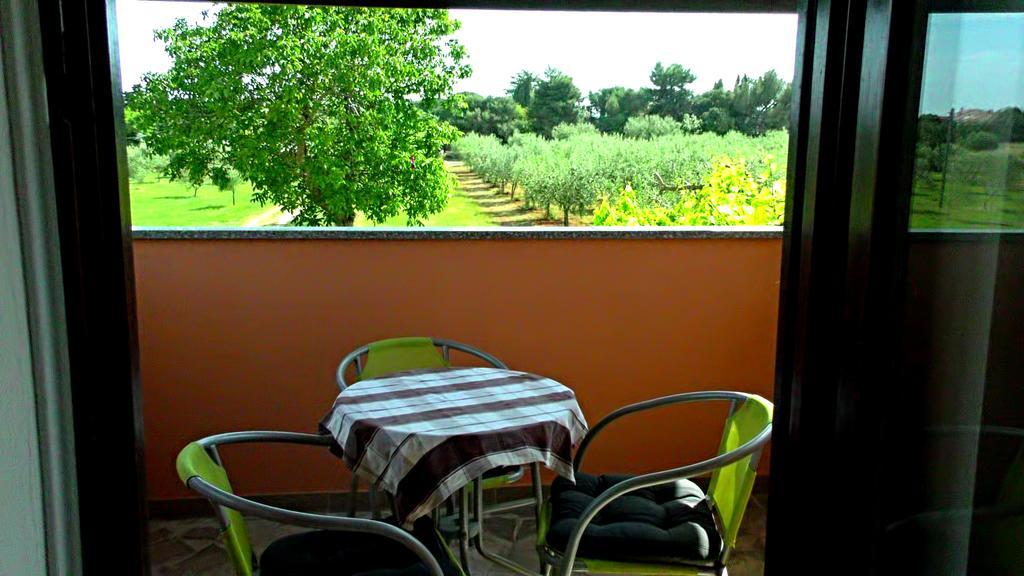 Apartment Garden Monsena *