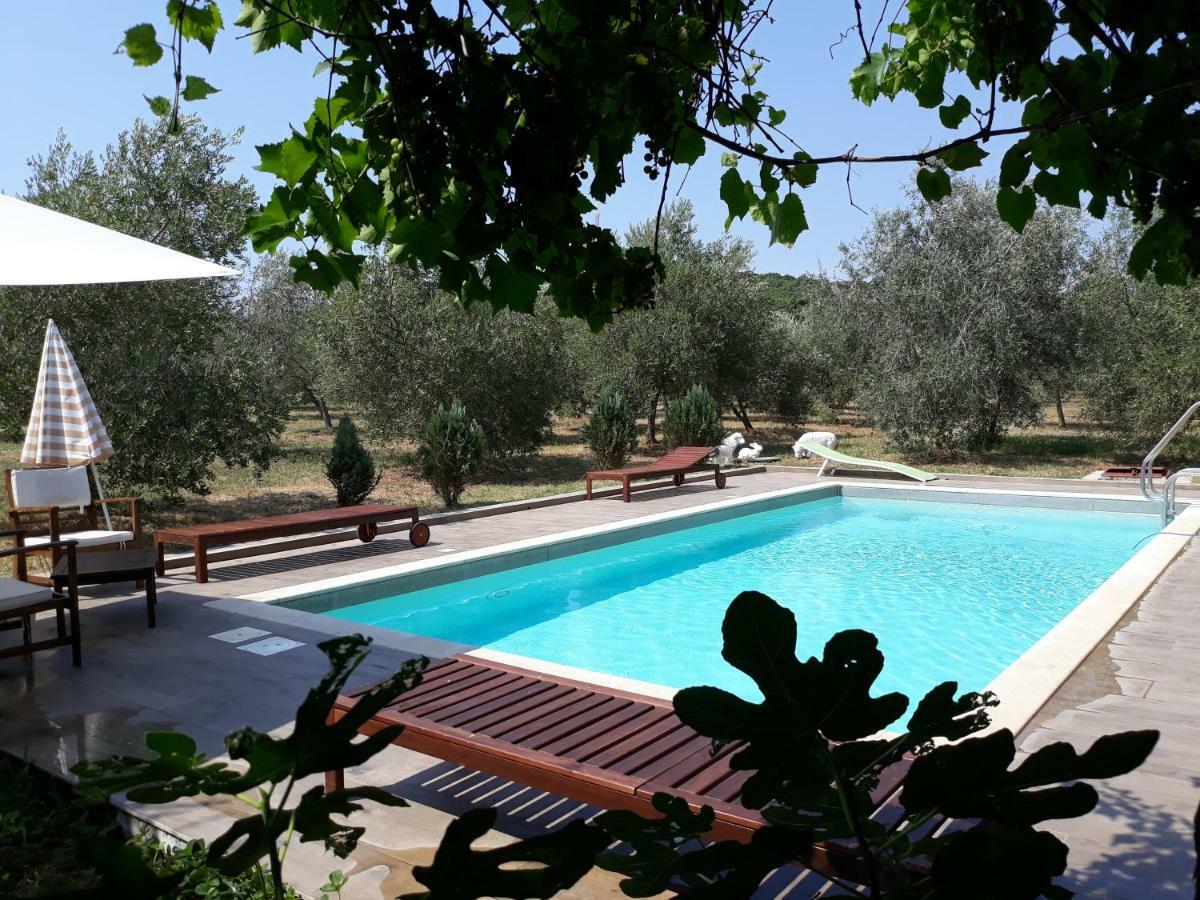 Apartment Garden Monsena *