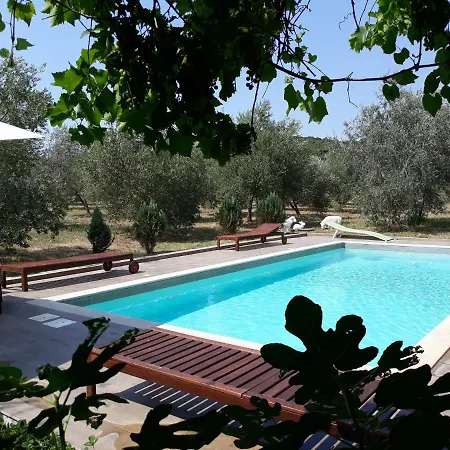 Apartments Garden Monsena Rovinj Exterior photo